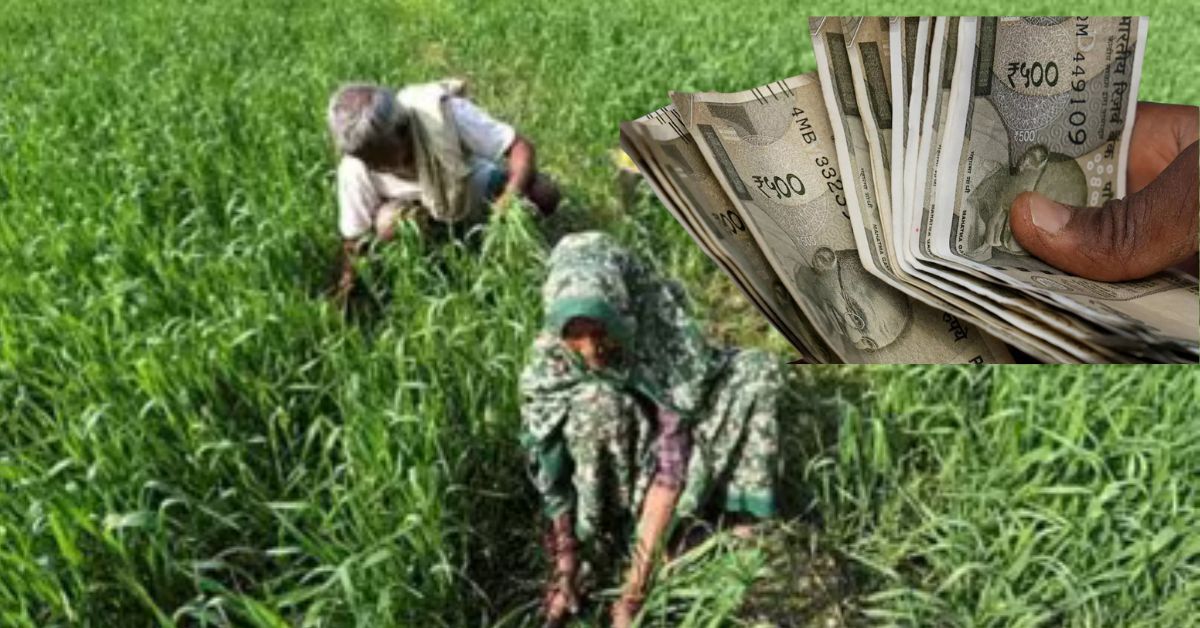 Farmers check: పంట బీమా డబ్బులు ఖాతాల్లోకి వచ్చాయా..  రైతులు ఇలా చెక్ చేసుకోండి!