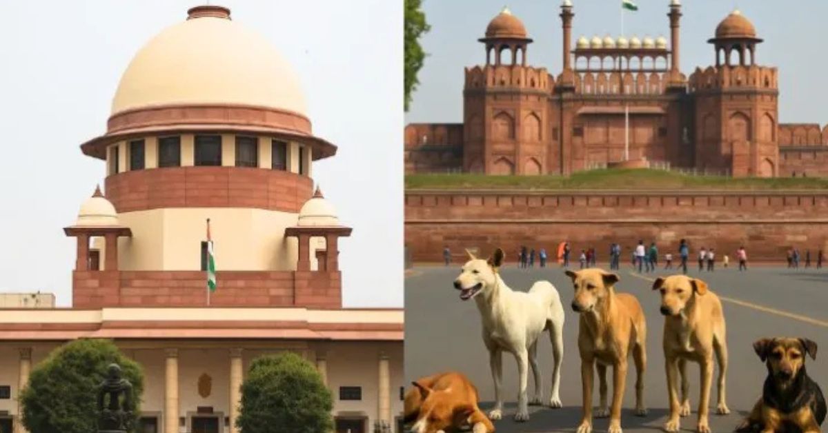 Removal dogs: ఢిల్లీలో వీధి కుక్కల తరలింపు.. పెరుగుతున్న వివాదం!