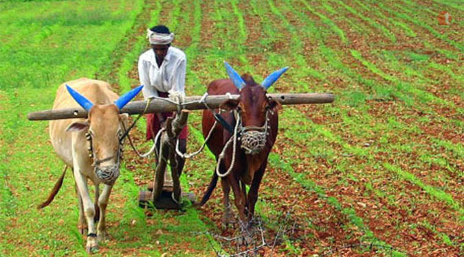 Farmers: రైతులకు ఏపీ ప్రభుత్వ గుడ్‌న్యూస్‌..! భూముల ఆధార్ అనుసంధానం ఇక ఈజీ!