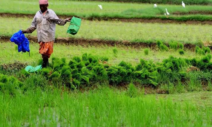 FORMERS: రైతన్నకు గుడ్ న్యూస్‌..! ప్రతి రైతు చేతికి ఆ కార్డు..! ఎరువుల వాడకానికి మార్గదర్శకంగా..!