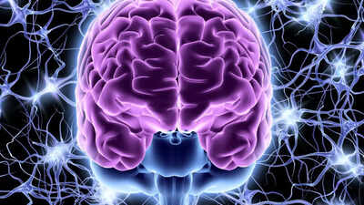 New Brain Cells: కొత్త మెదడు కణాలు పెరగాలంటే ఏ వ్యాయామం చేయాలి? శాస్త్రవేత్తల సెన్సేషనల్ ఫైండింగ్స్!