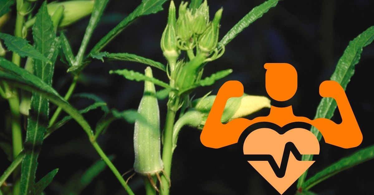 Health Tips: దీనిని వదలకుండా తింటే హాస్పిటల్ ఖర్చు సేవ్! మీ ఆరోగ్యం పదిలం! అందరికీ ఇష్టమైనదే! 