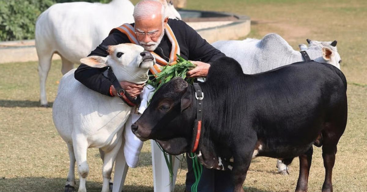 Modi Tweet: యానిమల్ లవర్స్‌పై ప్రధాని మోదీ.. ప్రజల భద్రత వర్సెస్ జంతు హక్కులు!
