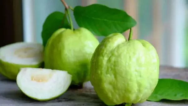 Weight Loss Tips: బరువు తగ్గాలని ఇవి తింటున్నారా! కానీ వారికి యమ డేంజర్!