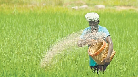 రైతులకు ఊరట – కేంద్రం కీలక నిర్ణయం  ధరలో భారీ పెంపు! అది కూడా దీపావళి నుండే!!!