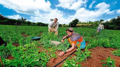 AP Farmers: ఏపీలో రైతులకు శుభవార్త! ఈ పంటలు సాగు చేస్తే రూ.30వేల నుంచి రూ.2.70 లక్షలు ఇస్తారట!