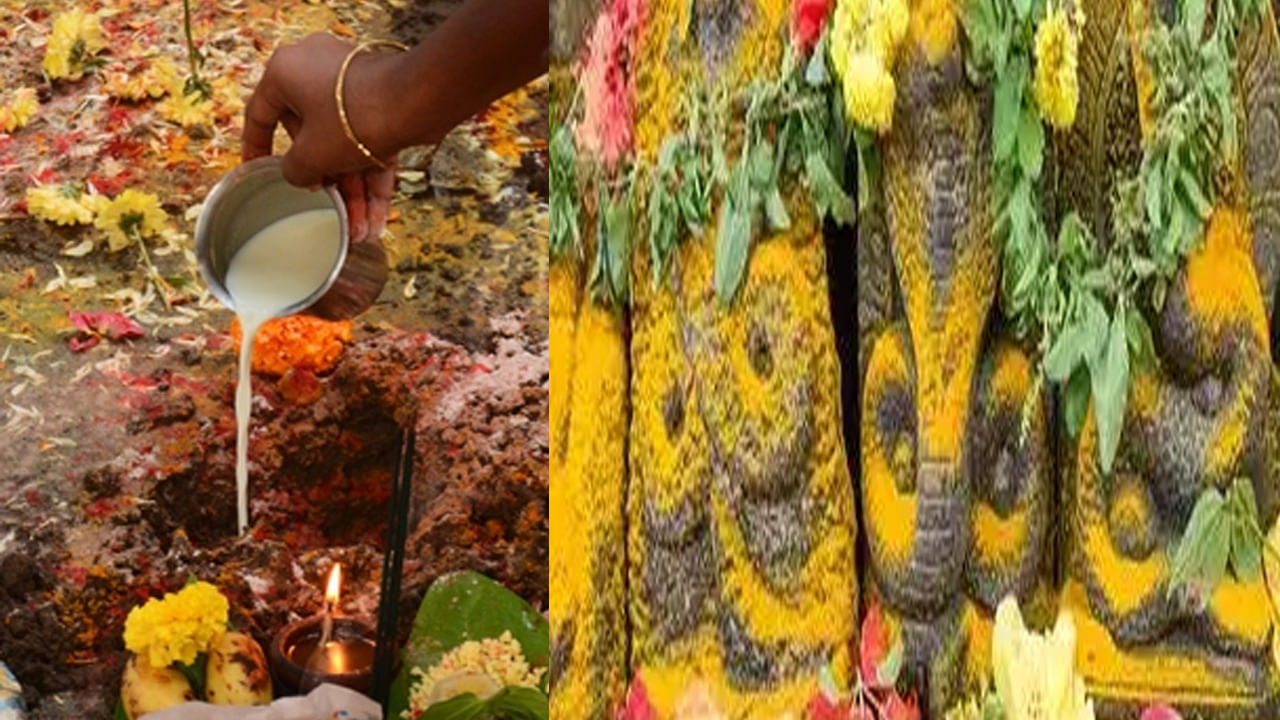 Naga Chaviti Festival: కార్తిక మాసం శుక్ల చవితి – నాగ పూజ, వ్రతం, ఆధ్యాత్మిక శాంతి!!