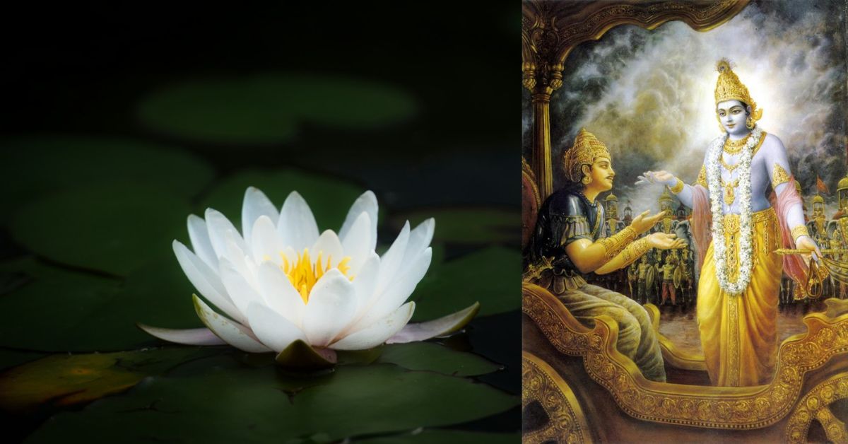 Bhagavad Gita: తామరాకును నీరు అంటక..  గీతాధ్యానం చేసేవారికి పాపం తగదు.. కర్మ, భక్తి, జ్ఞాన యోగాల మార్గదర్శిని గీతా -43!