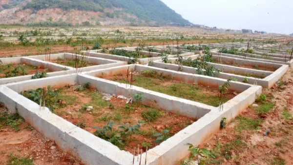 AndhraPradesh: వారికి భారీ ఊరట! ప్రభుత్వం మరోసారి గడువు పొడిగింపు.. ఉత్తర్వులు జారీ!