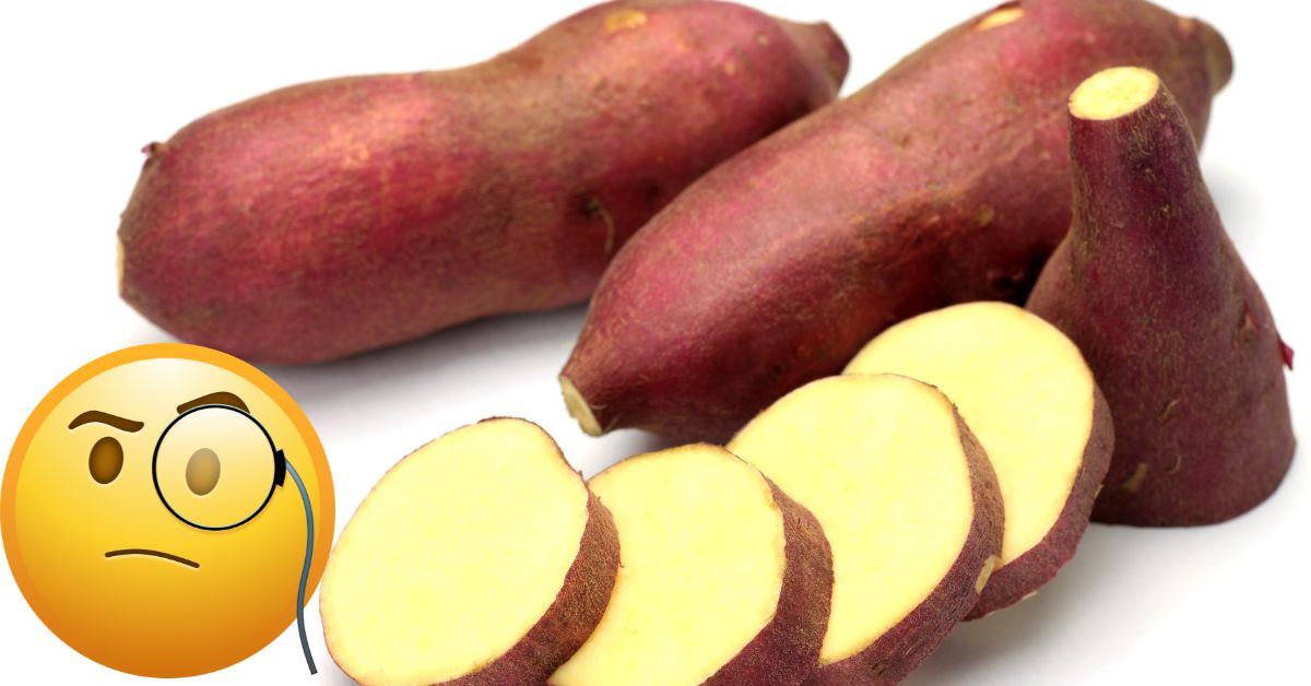 Healthy Food: మూత్రం పోస్తుంటే మంటగా ఉందా.. ఈ వెజిటెబుల్‌ తింటే సమస్య ఇట్టే మాయం! డయాబెటిస్ కి కూడా..