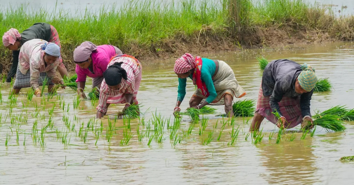 AP Farmers: ఏపీ రైతులకు అలెర్ట్..వెంటనే ఈ పని చేయండి లేదంటే డబ్బులు రావు! ఫైనల్ లిస్ట్ వచ్చేస్తుందోచ్...