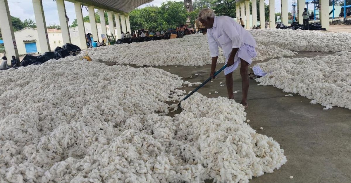 Cyclone Montha: మొంథా తుఫాన్‌ ప్రభావం.. పత్తి రైతులకు ఆర్థిక భరోసా కావాలి.. అచ్చెన్నాయుడు విజ్ఞప్తి!