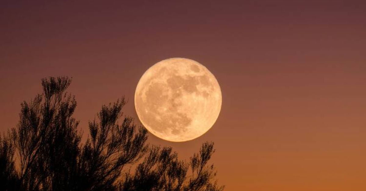 Super Moon visible: ఆకాశంలో అద్భుతం ఆవిష్కృతం కానుంది.. ఈ రాత్రి బీవర్ సూపర్ మూన్ కనువిందు!
