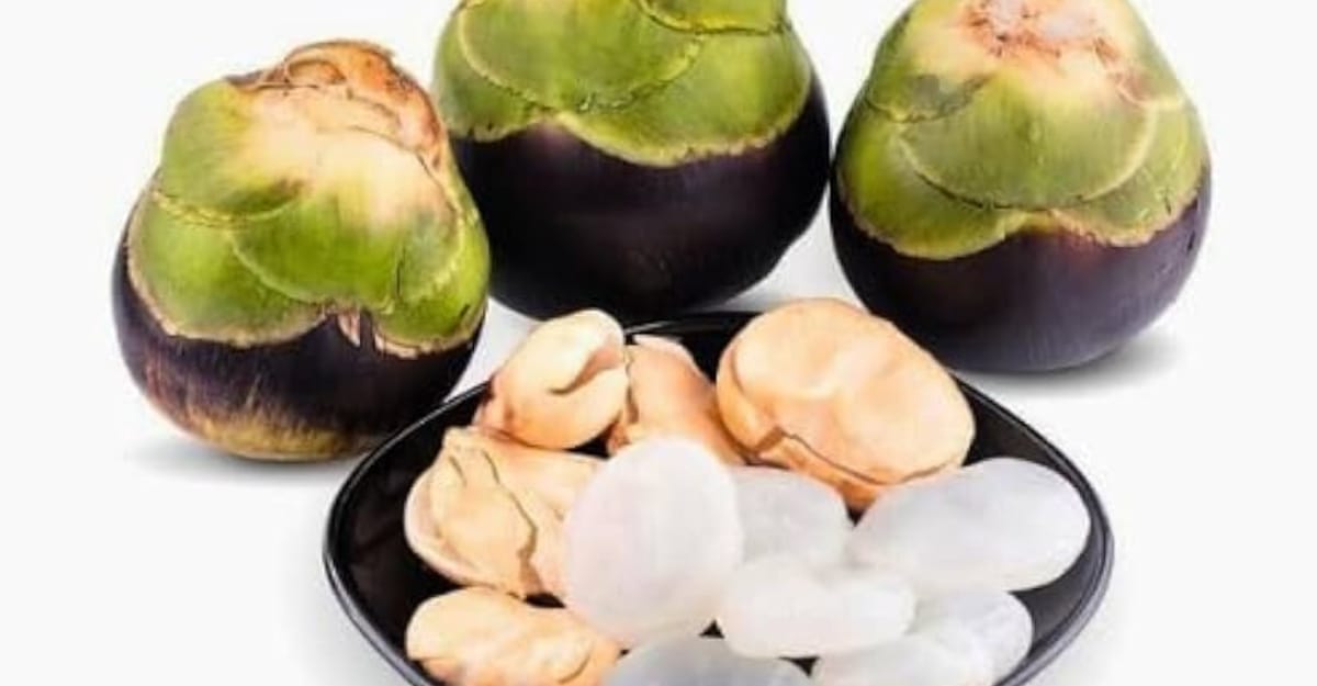 Ice Apple: ఏంటి తాటి ముంజలకి ఇంత డిమాండ్ ఆ... తెలిస్తే షాక్ అవ్వాల్సిందే!!