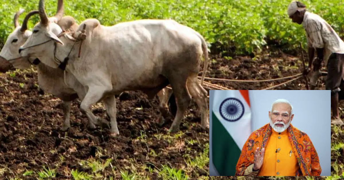 Modi Pm Kisan Update: పీఎం కిసాన్ రైతులకు బిగ్ అలర్ట్.. దేశవ్యాప్తంగా.. ఏకంగా రూ.416 కోట్లు..
