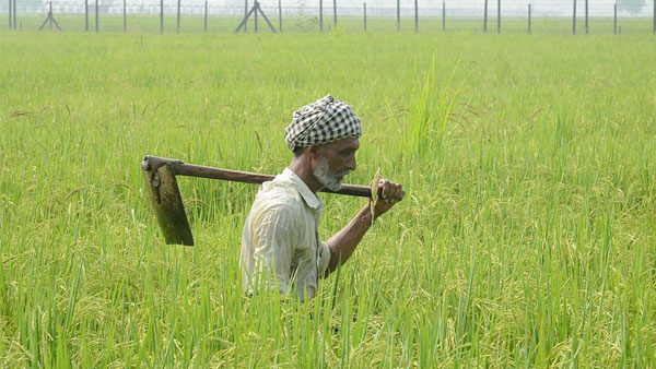 AP Paddy: ధాన్యం కొనుగోళ్లలో రికార్డు! 24 గంటల్లోనే రైతుల ఖాతాల్లో రూ.4,085 కోట్లు!