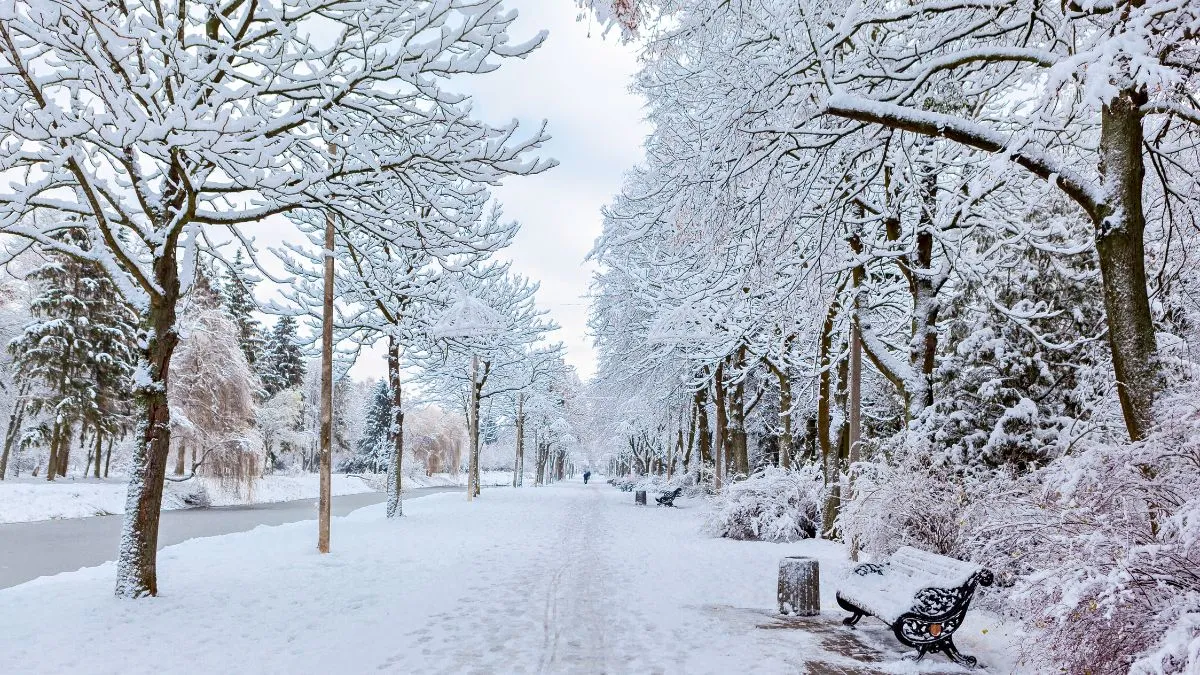 Land Of Snow: ప్రపంచంలో ‘ల్యాండ్ ఆఫ్ స్నో’గా పేరొందిన దేశం ఏదో మీకు తెలుసా!