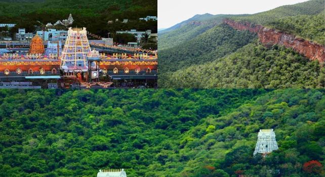 TTD: 100 ఎకరాల్లో పవిత్ర వృక్షాల పెంపకం.. TTD కీలక నిర్ణయం!