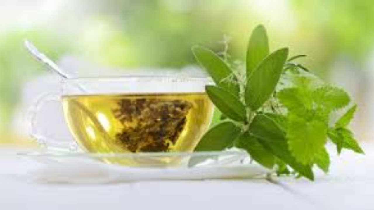 Green Tea: ఖాళీ కడుపులో గ్రీన్ టీ తాగితే ప్రమాదమేనా? తెలుసుకోండి..