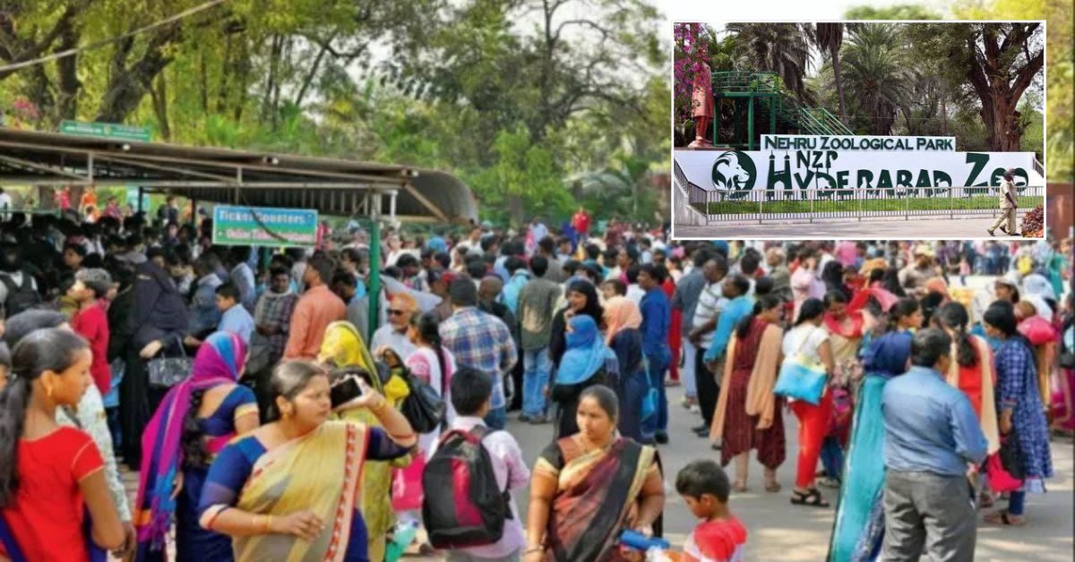 హైదరాబాద్ జూపార్క్ లో ఆ జంతువు..! ఒకే రోజు 23 వేల మంది సందర్శన.. రికార్డులు బద్దలు!