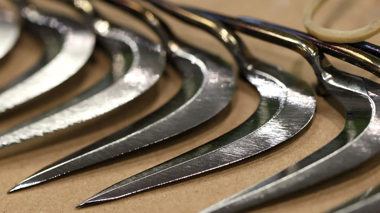 ఆ జిల్లాలో 2 వేల కోడికత్తులు స్వాధీనం..!! 