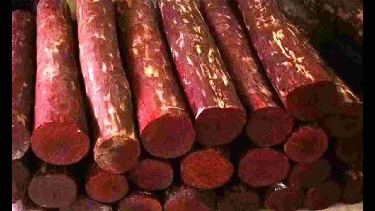 Red Sandalwood: ఎర్రచందనం ఉప ఉత్పత్తులకు ప్రపంచవ్యాప్తంగా డిమాండ్ – ఈ నెల 23న ఈ-వేలం!!