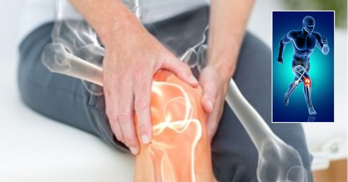 40 ఏళ్లలోనూ ఎముకలు ఉక్కులా దృఢంగా మారాలా? మీ డైట్‌లో ఈ 10 రకాల ఆహారాలు ఉండాల్సిందే!