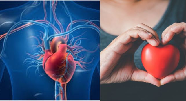 Heart works: మీ గుండె ఎంత కష్టపడుతుందో తెలుసా.. తెలుసుకోండి, జాగ్రత్త పడండి!