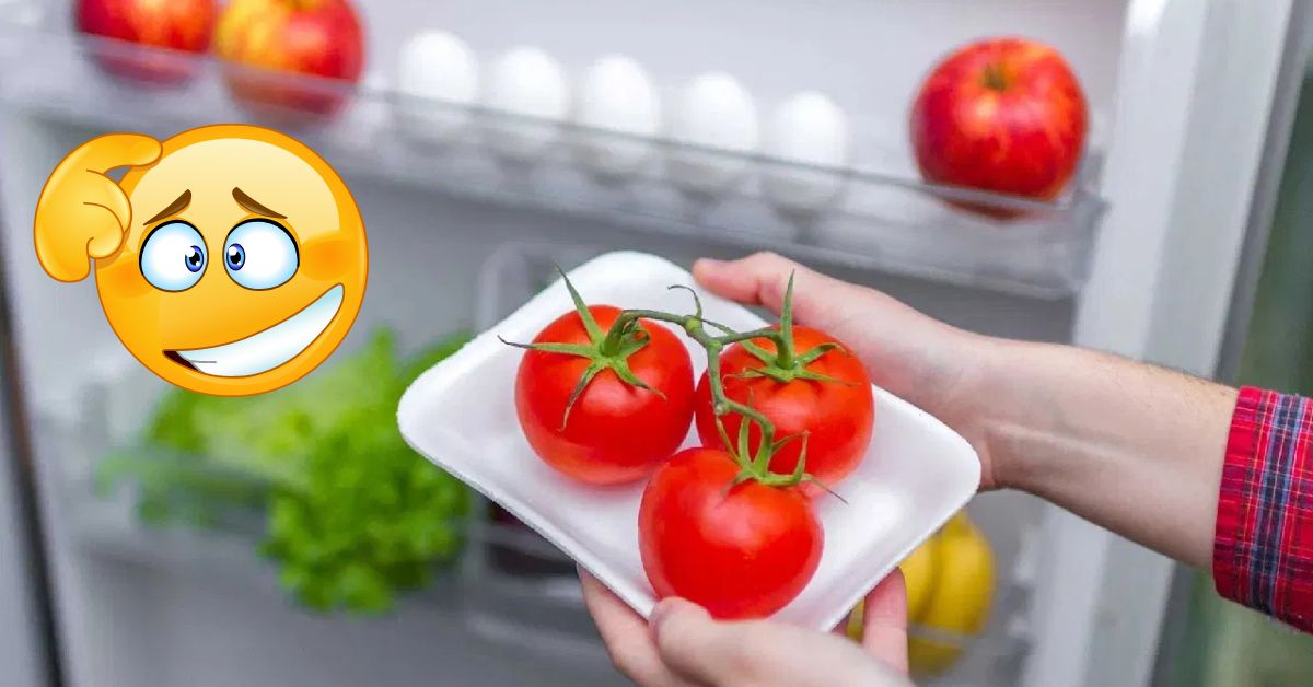 టమాటాలను ఫ్రిజ్‌లో పెడుతున్నారా? అయితే మీరు ఈ విషయాలు తప్పక తెలుసుకోవాలి! లేకపోతే..