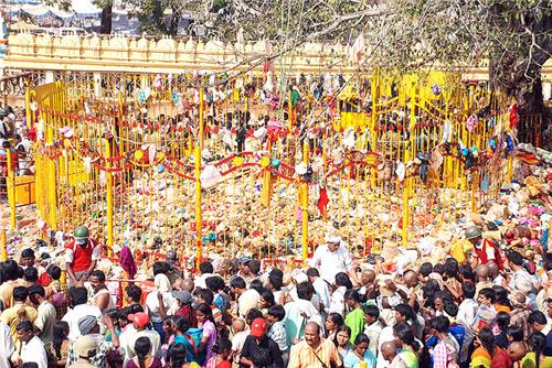 Sammakka Saralamma: భక్తిశ్రద్ధలతో మార్మోగిన సమ్మక్క సారలమ్మ క్షేత్రం.. డ్రోన్లతో నిఘా.. అప్రమత్తంగా పోలీస్ బందోబస్తు!