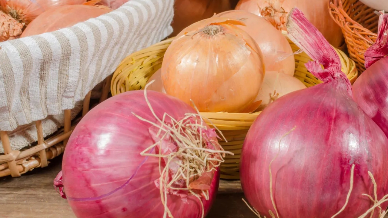 ఉల్లిపాయ పొట్టును పారేస్తున్నారా... ఈ లాభాలు తెలిస్తే ఇక ఎప్పటికీ అలా చేయరు!