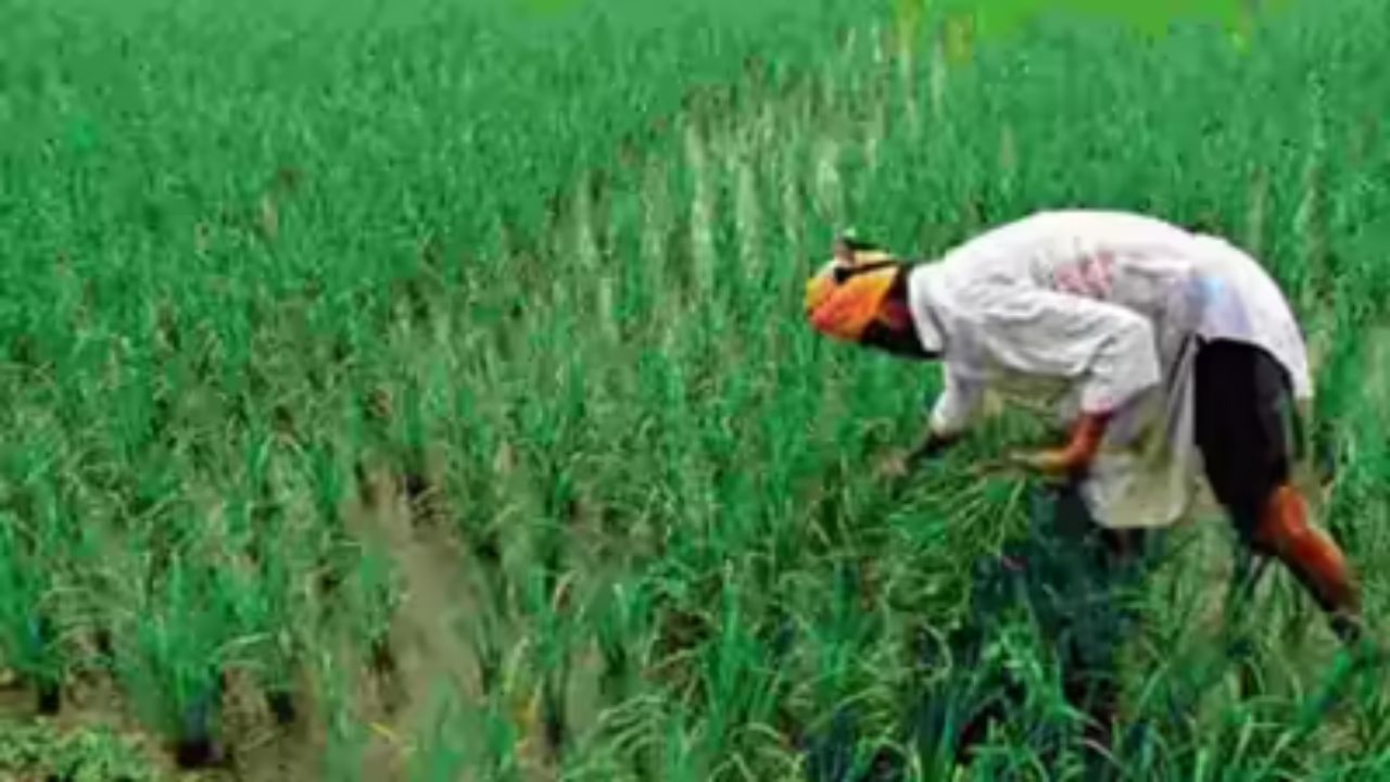 ఏపీలో రైతులకు ప్రభుత్వం శుభవార్త..! వ్యవసాయంలో త్వరలో సరికొత్త అధ్యాయం..!