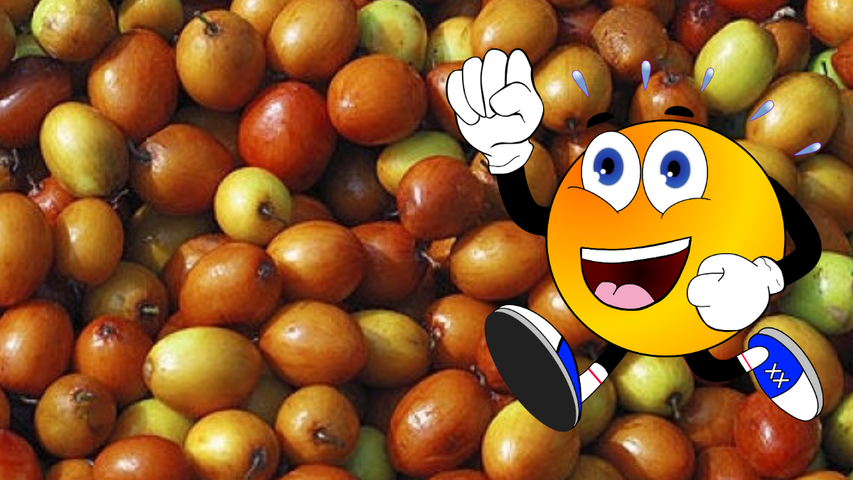 Vitamin C Rich Fruits: శీతాకాలంలో లభించే ఈ చిన్న పండులో ఇన్ని పోషకాలా? మీరు తింటున్నారా..!!