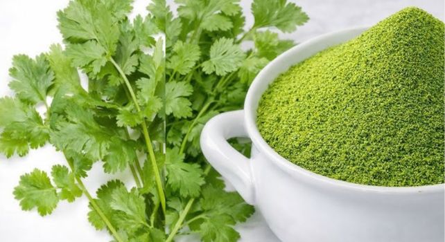 Coriander powder : కొత్తిమీర పొడి..  ఏడాది పొడవునా తాజాగా ఉండేలా చేసే సులభమైన పద్ధతి!