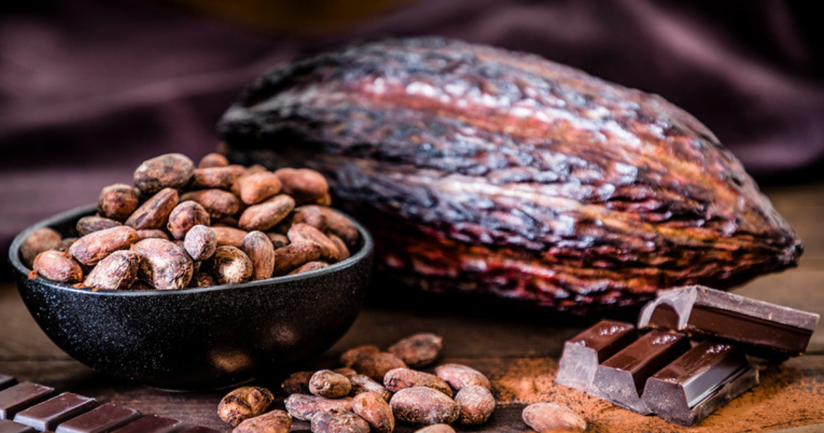 Dark Chocolate  Benefits: డార్క్ చాక్లెట్‌తో అదిరిపోయే బెనిఫిట్స్.. కానీ ఆ సమస్య ఉన్నవారు మాత్రం జాగ్రత్త! 