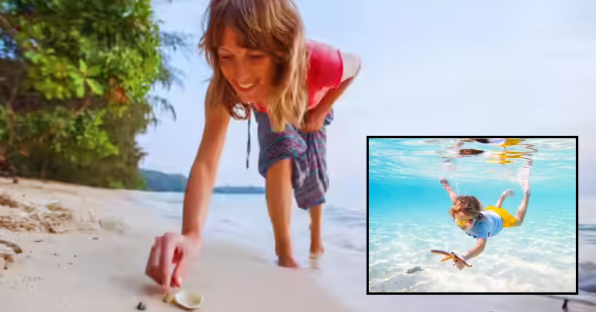 Beach Trip Tips: బీచ్‌కి వెళ్తున్నారా? అయితే వీటిని ఇంటికి అస్సలు తీసుకురావద్దు.. అది ఎంత నష్టమో తెలుసుకోండి!