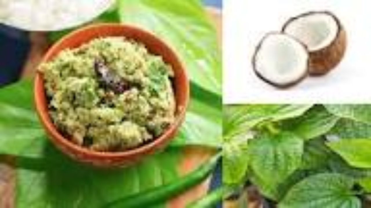 Coconut Chutney: ఒకసారి ఇలా కొబ్బరి పచ్చడి చేసి చూడండి…! భోజనం రుచి రెట్టింపుగా..!