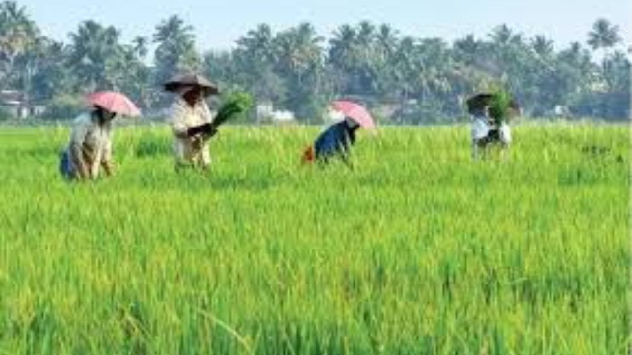 AP Farmers: ఏపీలో రైతుకు కొత్త యుగం...! ప్రకృతి వ్యవసాయంలో దేశానికి ఆదర్శంగా...!