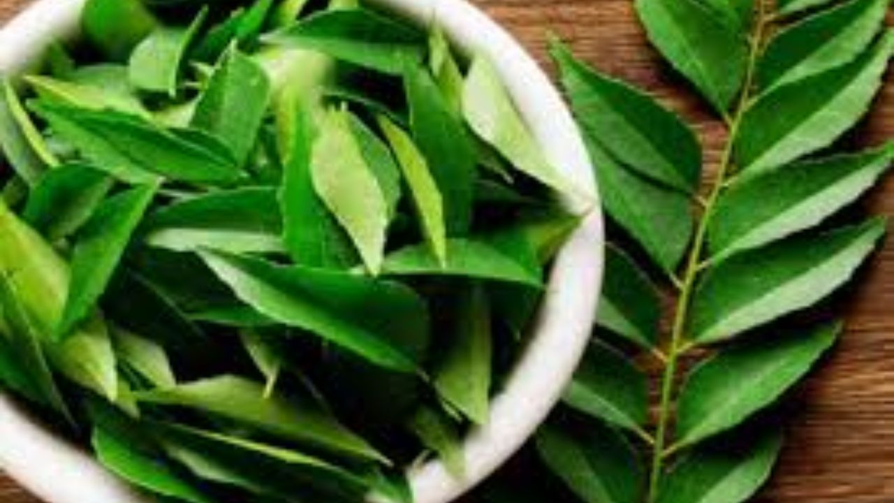 Curry Leaves Price: సామాన్యులకు షాక్! పెరిగిన కరివేపాకు ధరలు...!