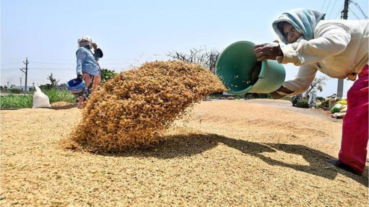 AP Farmers: ఏపీ రైతులకు గుడ్ న్యూస్..! ప్రభుత్వమే నేరుగా కొనుగోలు... సర్కార్ కీలక నిర్ణయం!