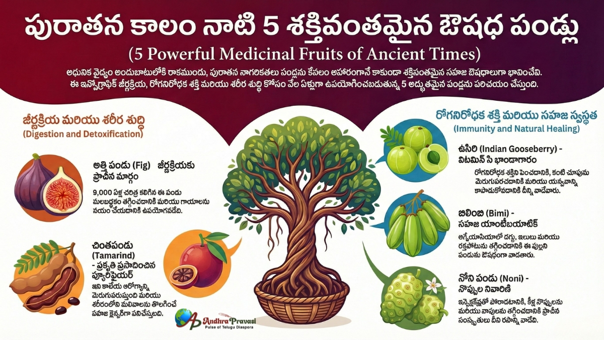 Natural medicine: పూర్వీకులు వాడిన ప్రకృతి వైద్య రహస్యాలు... ఈ ఐదు దివ్య ఫలాలు!