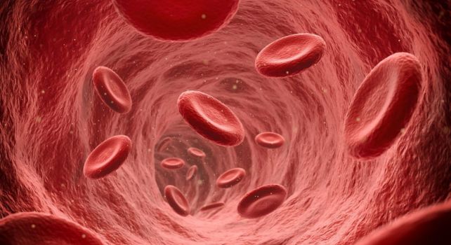 Blood red: మన శరీర రహస్యం.. రక్తం ఎరుపు రంగుకు అసలు కారణం ఇదే!