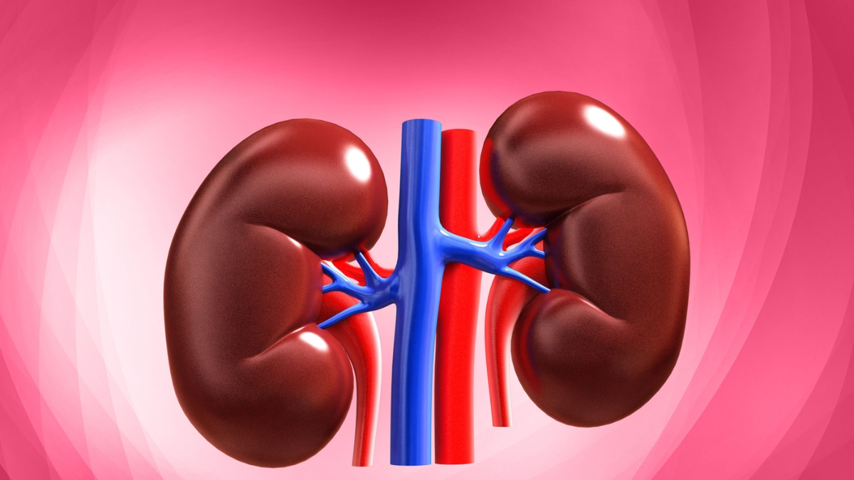 Kidney: అవి అతిగా వాడుతున్నారా? కిడ్నీలు డేంజర్ లో పడ్డట్టే!