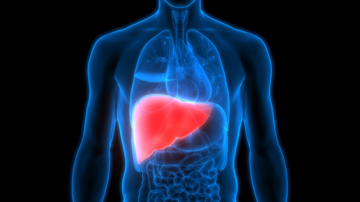 Fatty Liver: కాలేయంలో కొవ్వు చేరుతోందా? జాగ్రత్త.. అది మధుమేహానికి దారితీయొచ్చు