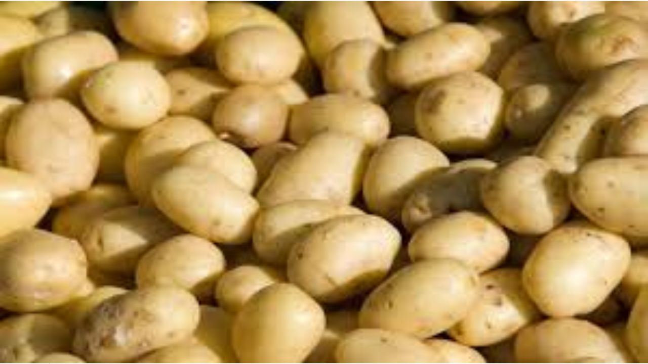 Diabetes Tips: షుగర్ పేషెంట్లు బంగాళదుంపలు తినవచ్చా? నిపుణులు చెబుతున్న అసలు నిజం!