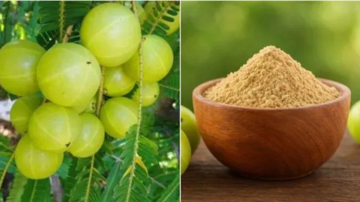 Amla Powder: రోజూ ఉదయం గోరువెచ్చని నీటిలో ఉసిరి పొడి కలిపి తాగండి.. ఆరోగ్యానికి అద్భుత ఫలితాలు!