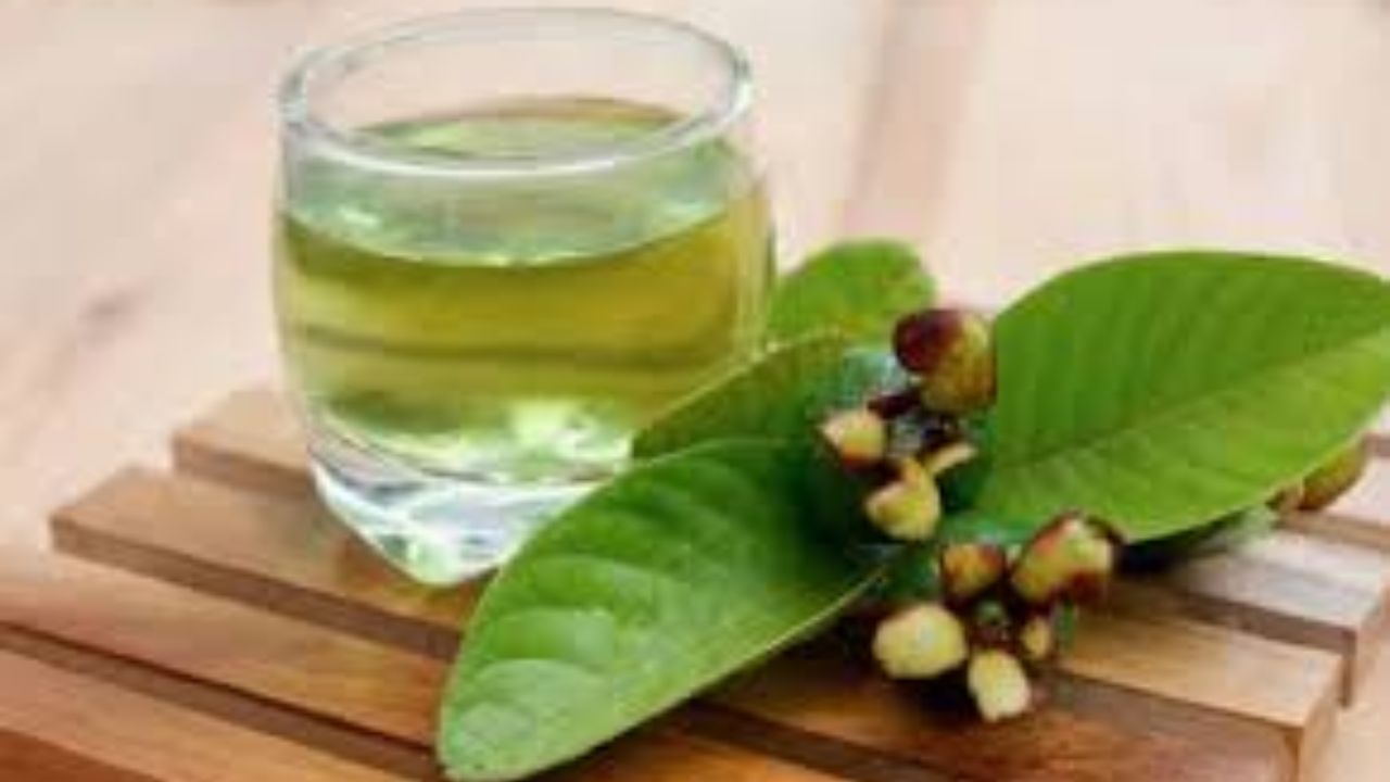 Guava Leaves: జామ ఆకులతో అద్భుత ప్రయోజనాలు! ఆయుర్వేదం చెప్పే రహస్యాలివే!