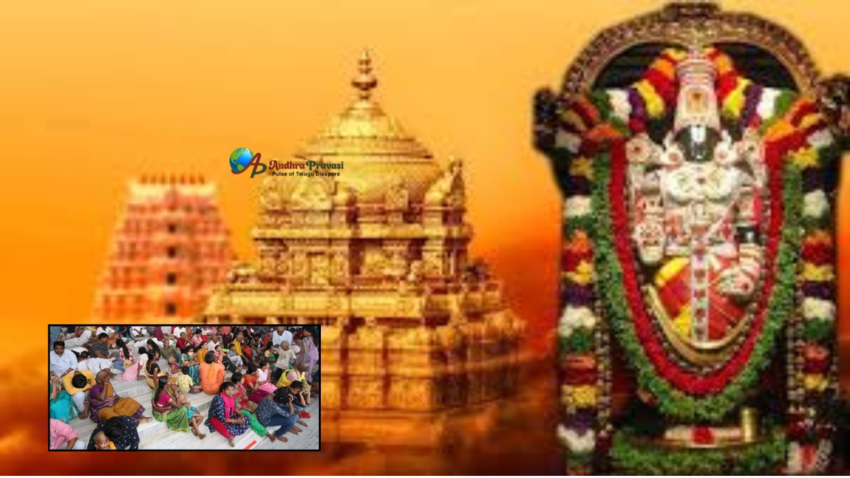 TTD Updates: తిరుమలలో పెరిగిన భక్తుల రద్దీ! 31 కంపార్ట్‌మెంట్లు ఫుల్... 