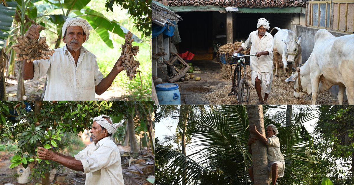 Chandrababu: ప్రకృతి సాగు రైతు రోశయ్యకు చంద్రబాబు నాయుడు ప్రశంస! 75 సెంట్లలో 52 రకాల పంటలు సాగు..