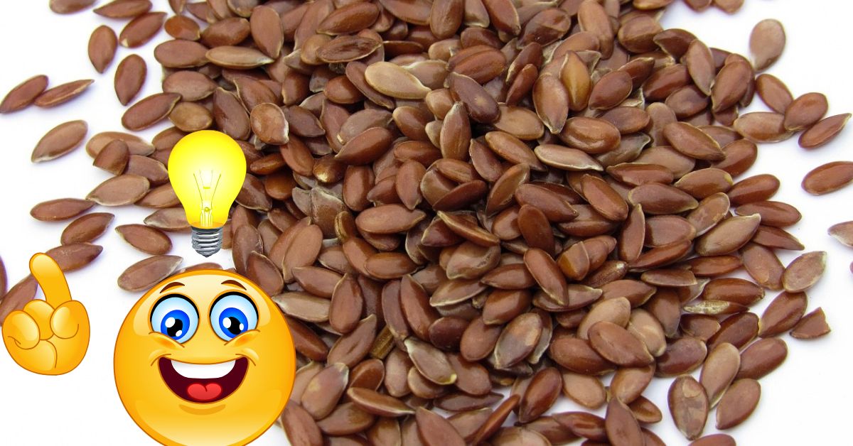 Flax Seeds: చిన్న గింజ.. పెద్ద మేలు: గుండె ఆరోగ్యం నుంచి బరువు నియంత్రణ వరకు 'అవిసె'తో ఎన్నో లాభాలు!